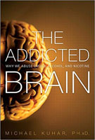 the-addicted-brain